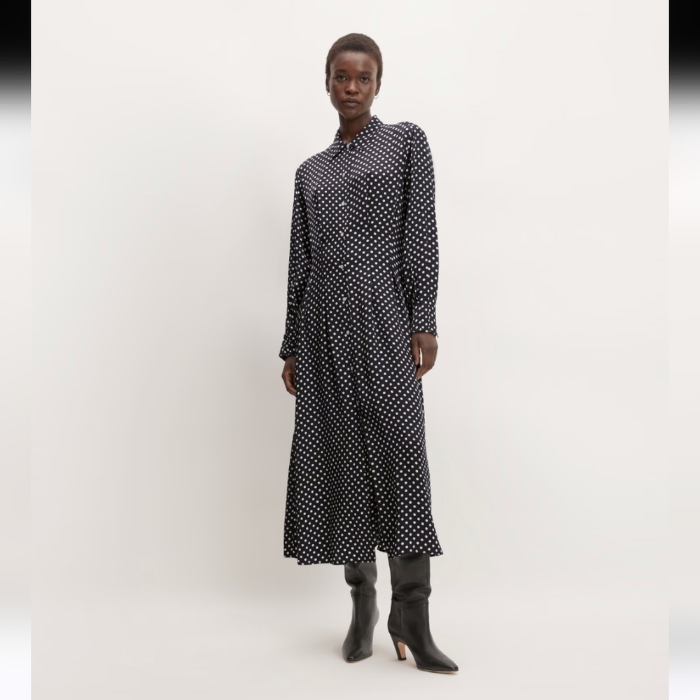 Everlane Midi Shirt Dress